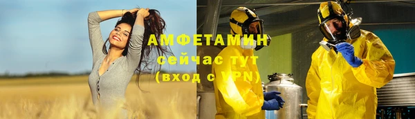 шишки Корсаков