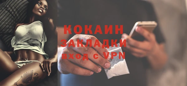 гидра Кинешма