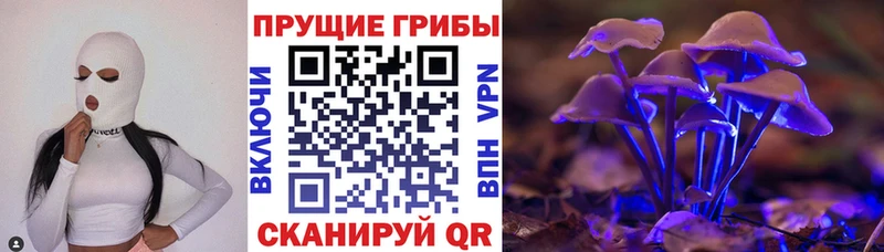 Купить закладки  Енисейск  Псилоцибиновые грибы прущие грибы 